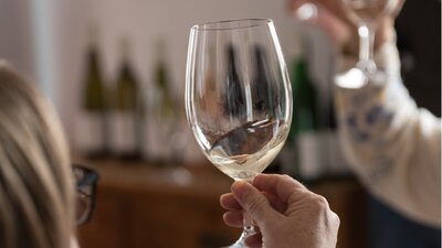 Glasses of white wine are held in the air