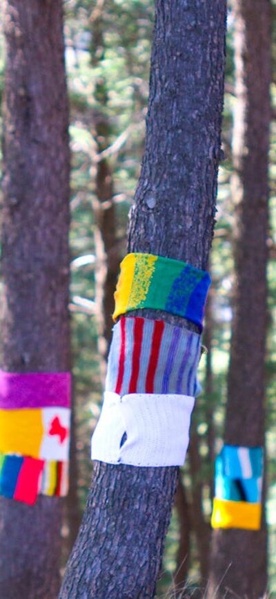 A forest of tree trunks, each wrapped with several brightly coloured scarves