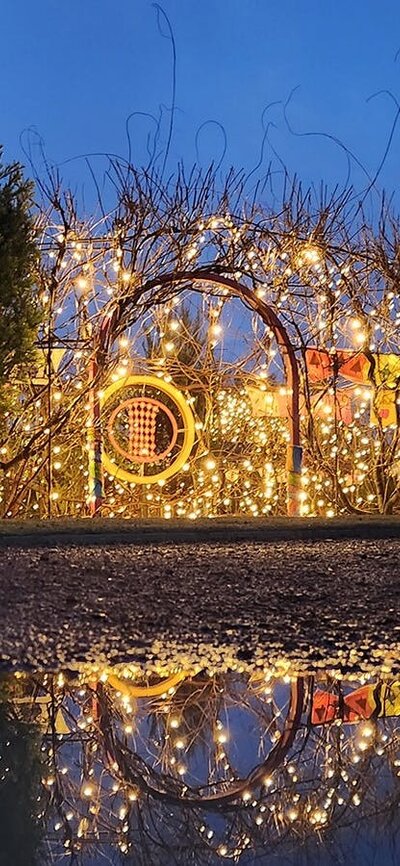 A garden arbour with bare winter twigs is decorated with fairy lights and colourful scarves.
