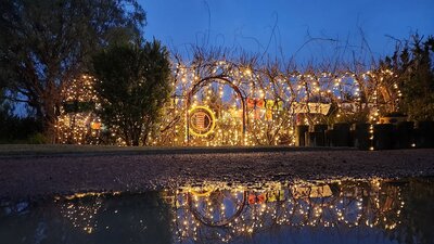 A garden arbour with bare winter twigs is decorated with fairy lights and colourful scarves.