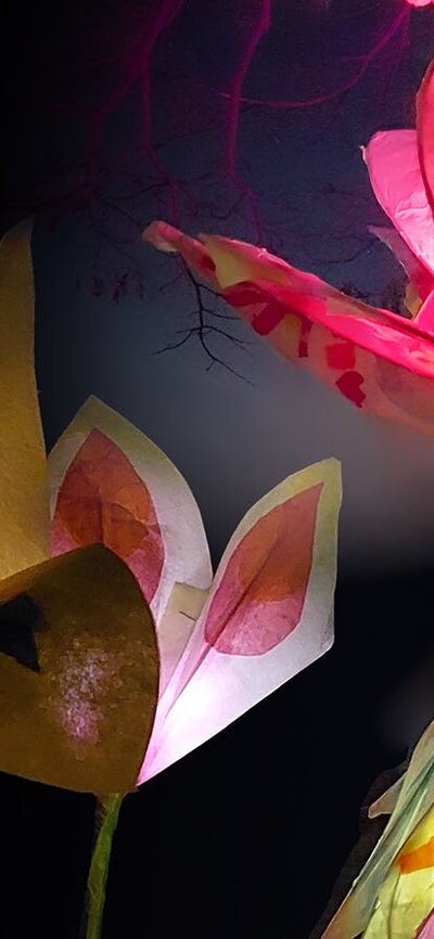 Colourful handmade paper flowers of assorted shapes glow against a dark background aga