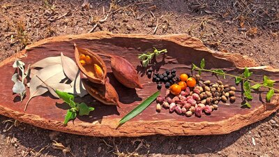 A traditional indigenous wooden artifact holds a colourful display of leaves, seeds and berries