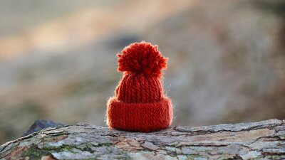 A thumb size handmade woollen beanie sits on a rough timber branch.
