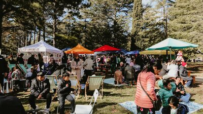 An image of Haig Park Village Markets