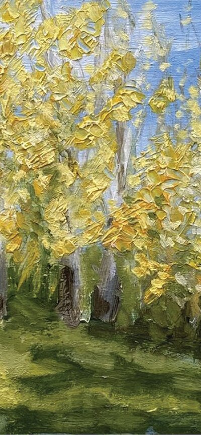 Trees with yellow and green leaves and a path with a blue sky background.