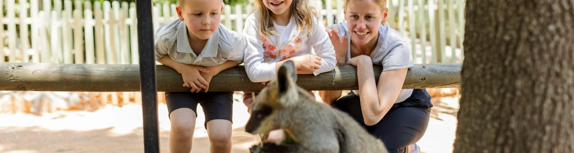 Zoocation - Super Senses of the Animal Kingdom!